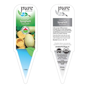 COURGE SPAGHETTI BIOLOGIQUE