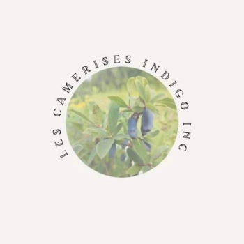 Les camerises Indigo inc.