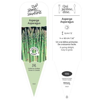 Plant d'Asperge