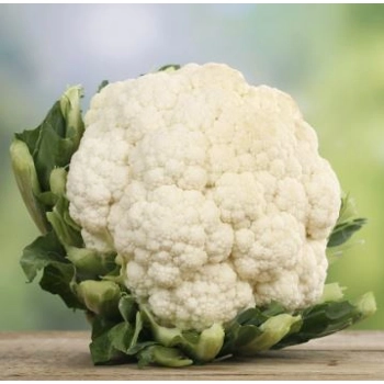 Chou-fleur grade 9