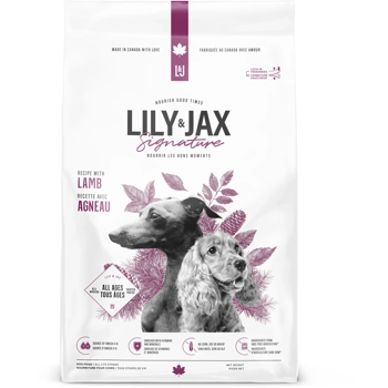 Recette agneau - Chien