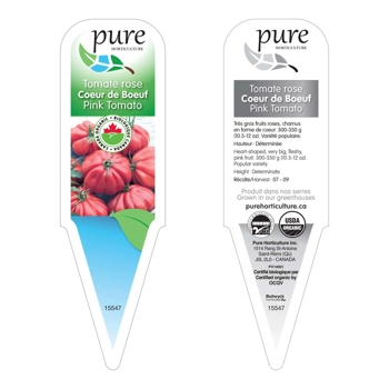 TOMATE COEUR DE BOEUF (ROSE) BIOLOGIQUE EN POT