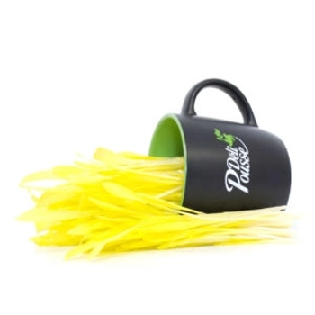 Pousse de Maïs Jaune