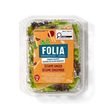 Sesame Ginger Salad Kit