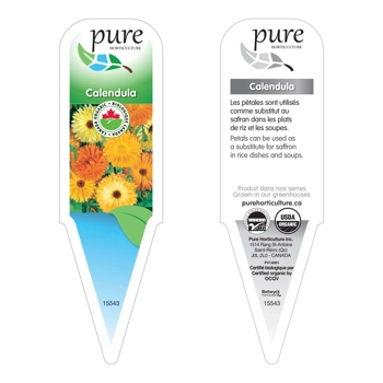 CALENDULE (CALENDULA) BIOLOGIQUE EN POT