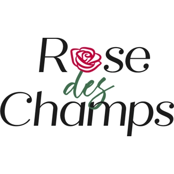 Rose des Champs