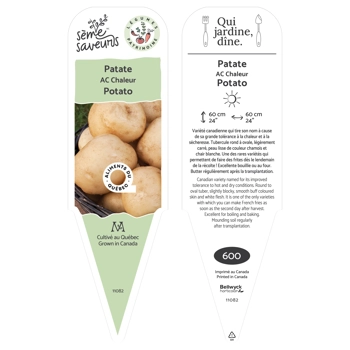 Plant de Patate AC Chaleur