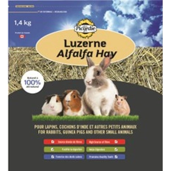 Luzerne (foin)