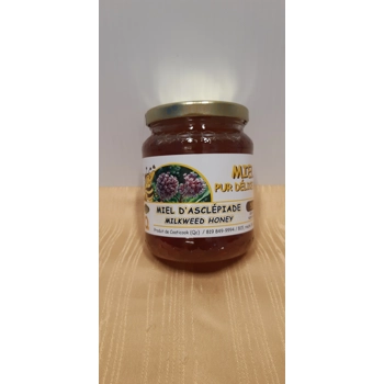 Miel d'asclépiades