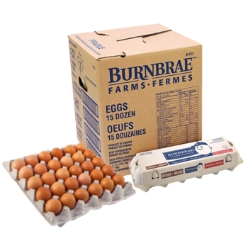 Oeufs Extra-Gros Brun