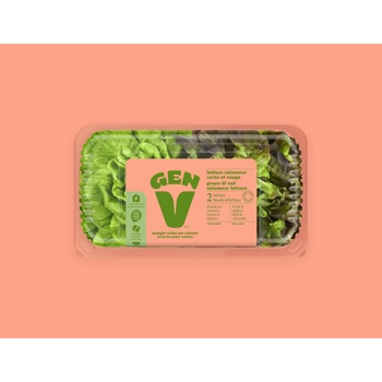 Laitue salanova verte et rouge - 2 laitues