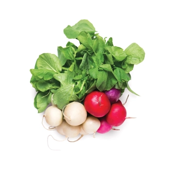 Mixed Radishes