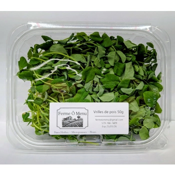 Micropousses de vrilles de pois