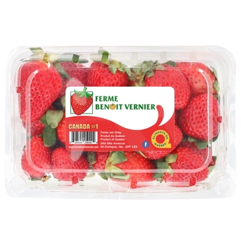 Clamshell Fraise 454g