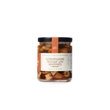Strophaires rouge vin marinés épicés