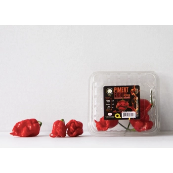 Carolina Reaper