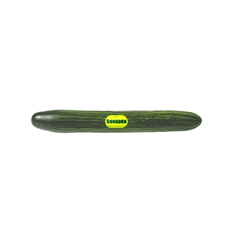 English Cucumber
