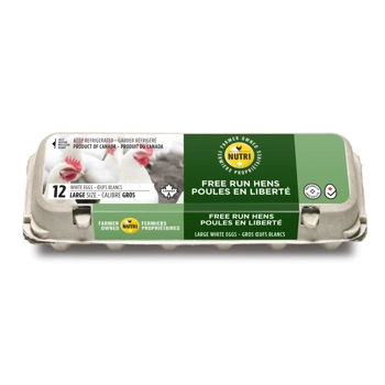 Nutri Oeufs de poules en liberté blanc gros
