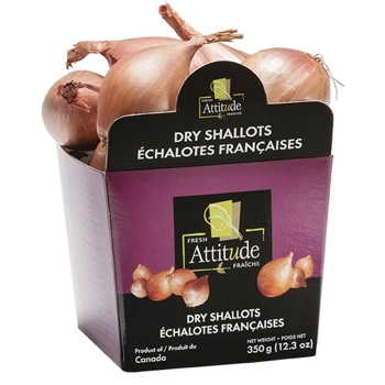 Échalote Française