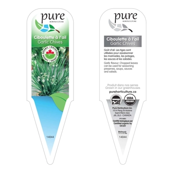 CIBOULETTE A L'AIL BIOLOGIQUE EN POT