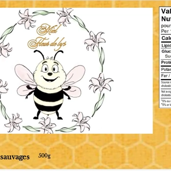 Miel de fleurs sauvages