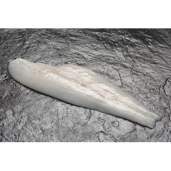 Flétan du Groenland filet frais