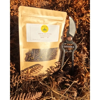 Poivre des dunes