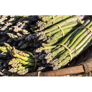 Asperges fraîches