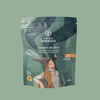 Infusion Sorcière des Bois - Sapin et Thuya