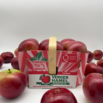 Pommes mcintosh 3 litres