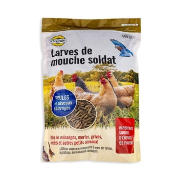 Larve de mouche soldat