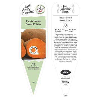 Plant de Patate douce