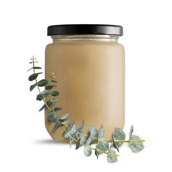 Aromiel d'eucalyptus radiata