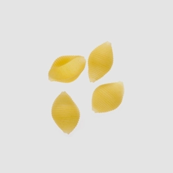 Coquilles bébés lisci 2% blanc d'oeufs