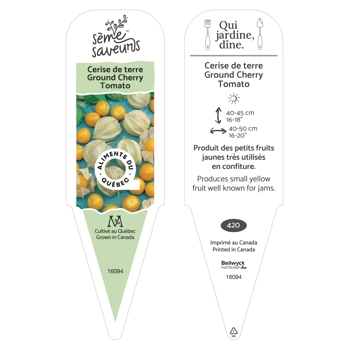 Plant de Cerise de terre