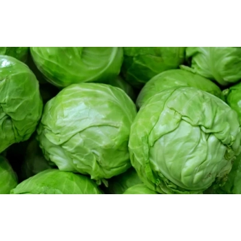 Chou vert, chou savoie, chou rouge