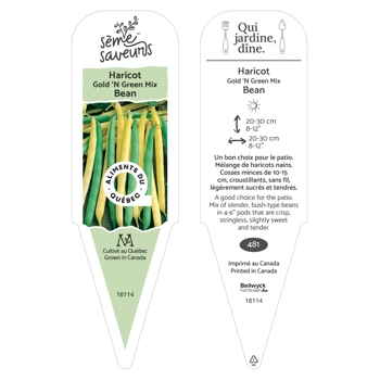 Plant d'Haricot Gold'n Green mix