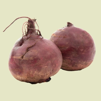Betteraves biologiques