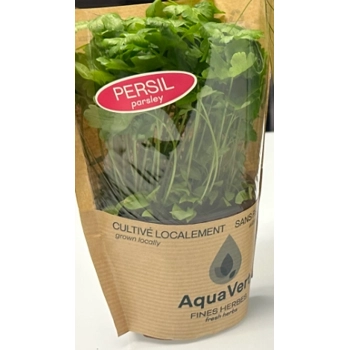 Persil  en Pots