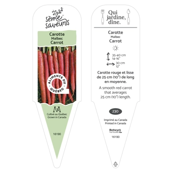 Plant de Carotte Malbec