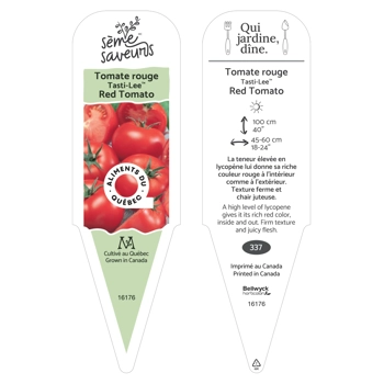 Plante de Tomate Tastee Lee