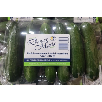 Mini-concombre de serre *Libanais*