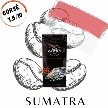 Café Sumatra