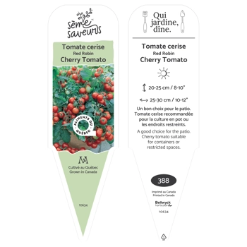 Plant de Tomate cerises Red Robin