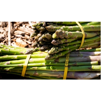 Asperges frais biologique
