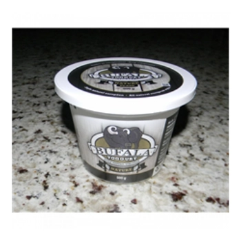 Yogourt maciocia nature