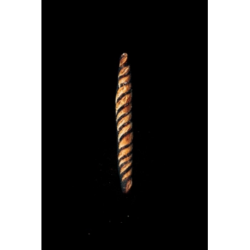 FIcelle graine de pavot