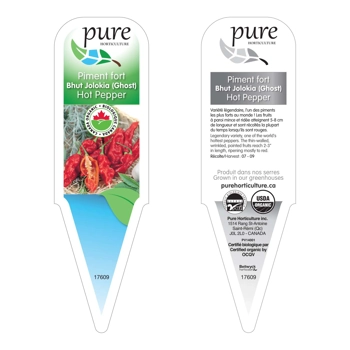 PIMENT FORT GHOST BIOLOGIQUE