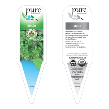 STEVIA BIOLOGIQUE EN POT