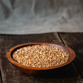 Épeautre en grains - biologique
